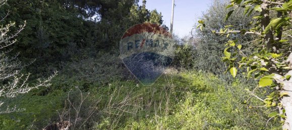 6-Zimmer Villa in Altavilla Milicia, Italy, Nr. 71135 18