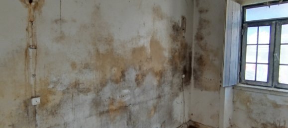 Здание 426м² в Колариш, Португалия № 138442 15