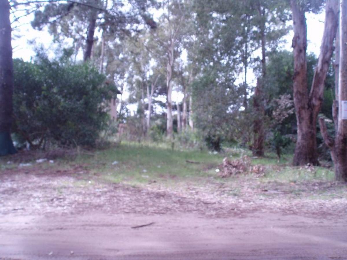 Grundstück in Mar del Plata, Argentina, Nr. 115688