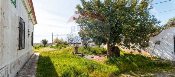 5 Schlafzimmer Haus in Montemor o Novo, Portugal, Nr. 27937 18