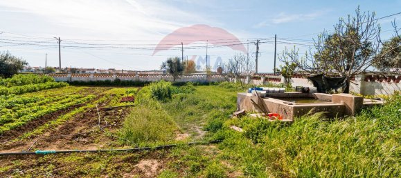 5 Schlafzimmer Haus in Montemor o Novo, Portugal, Nr. 27937 8