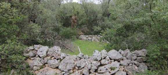 10000m² Hotel in Corfu, Greece No. 5765 4