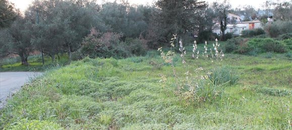 Hotel en Corfu, Greece 5700 m² No. 7990 2