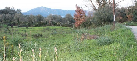 Hotel en Corfu, Greece 5700 m² No. 7990 3