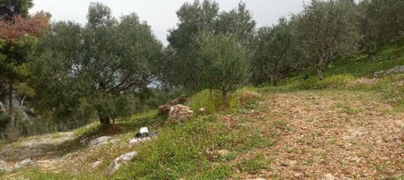  Land in Zakynthos, Greece No. 516 19