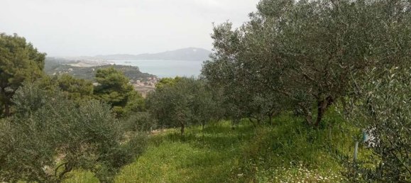  Hotel in Zakynthos, Greece No. 516 6