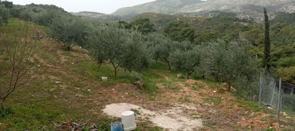  Land in Zakynthos, Greece No. 516 11