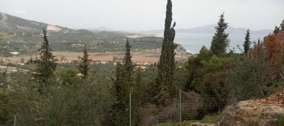  Hotel in Zakynthos, Greece No. 516 3