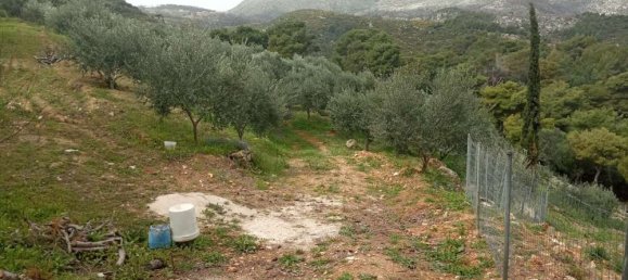  Land in Zakynthos, Greece No. 516 8