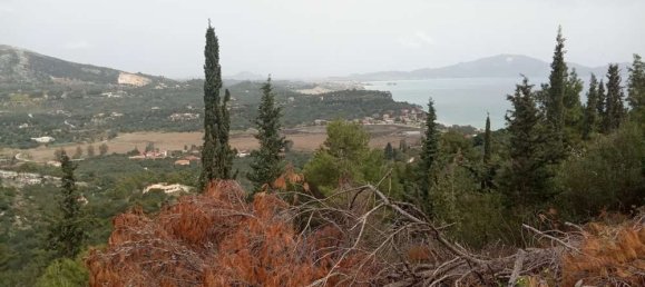  Hotel in Zakynthos, Greece No. 516 2