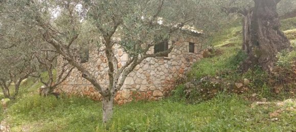  Land in Zakynthos, Greece No. 516 21