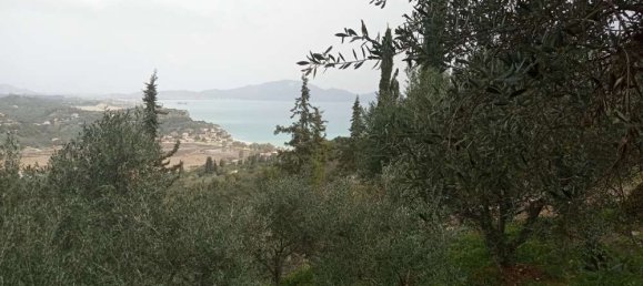  Land in Zakynthos, Greece No. 516 22