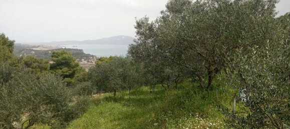  Land in Zakynthos, Greece No. 516 5