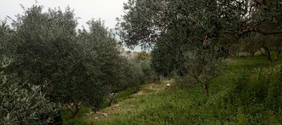  Land in Zakynthos, Greece No. 516 20