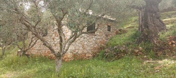  Land in Zakynthos, Greece No. 516 13