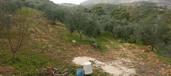  Land in Zakynthos, Greece No. 516 16