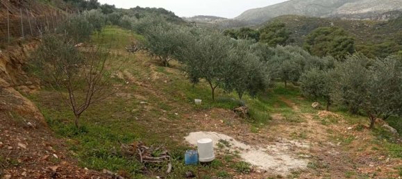  Land in Zakynthos, Greece No. 516 12