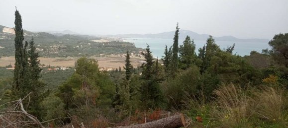  Hotel in Zakynthos, Greece No. 516 15