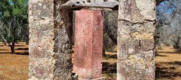 6-salle Maison à Squinzano, Italy No. 232886 19