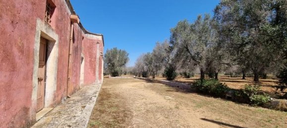 6-salle Maison à Squinzano, Italy No. 232886 16