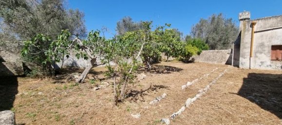 6-salle Maison à Squinzano, Italy No. 232886 18