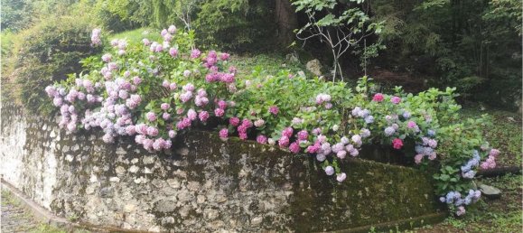 7 rooms House in Pordenone, Italy No. 265715 3