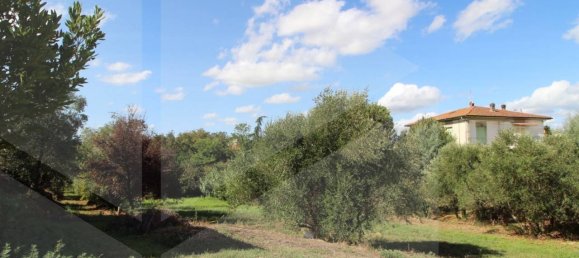 Земельный участок с 2 комнатами в Санта Мария а Монте, Италия № 23482 4