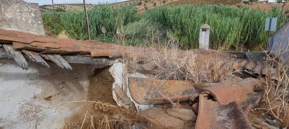 3 bedrooms House in Evora, Portugal No. 34211 14