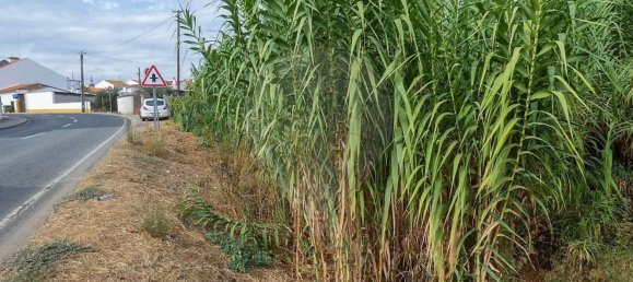 3 bedrooms House in Evora, Portugal No. 34211 6