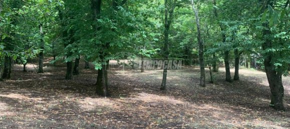 4 Schlafzimmer Haus in Pietrastornina, Italy, Nr. 150640 5