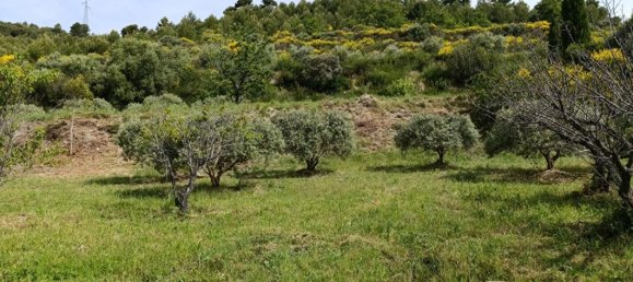 Grundstück in Manosque, France 1840m², Nr. 103414 3
