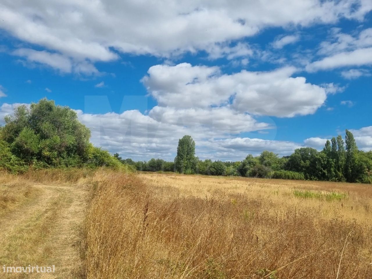 20880m² Land in Torres Novas, Portugal No. 315513