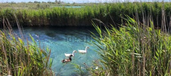 4 rooms Villa in Lecce, Italy No. 254220 17