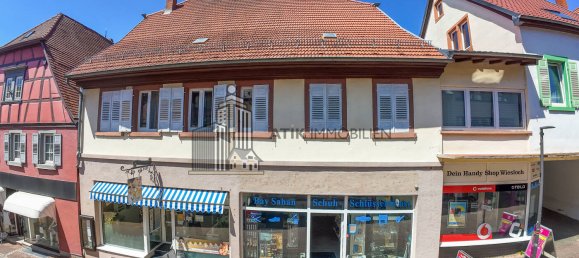 303m² Building in Rhein-Neckar-Kreis, Germany No. 233261 3