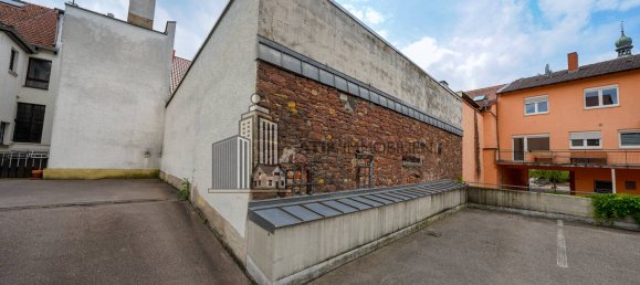 303m² Building in Rhein-Neckar-Kreis, Germany No. 233261 8