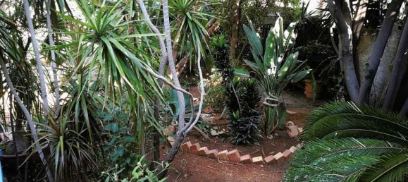 6 Schlafzimmer Villa in Limassol, Cyprus, Nr. 19153 8