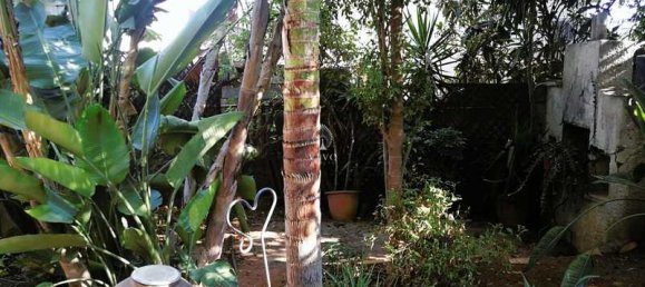 6 Schlafzimmer Villa in Limassol, Cyprus, Nr. 19153 3