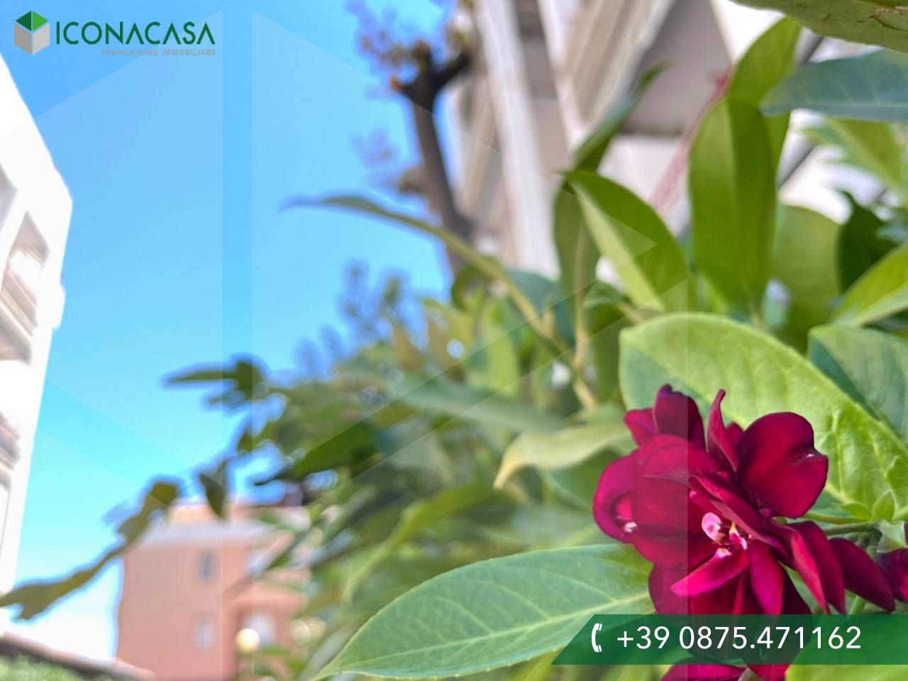 2 rooms Apartment in Campomarino, Italy No. 19241