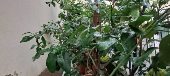 2 bedrooms Apartment in San Giovanni Valdarno, Italy No. 165661 11