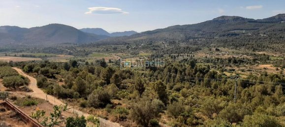 6 Schlafzimmer Haus in Valencia, Spain, Nr. 241863 33