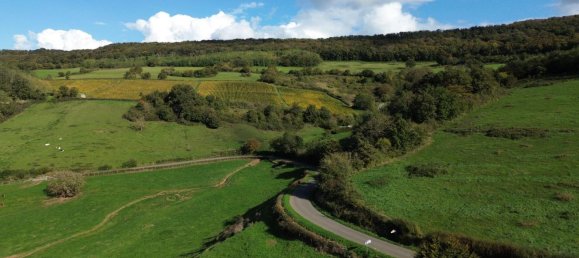 4 bedrooms House in Cluny, France No. 199802 35