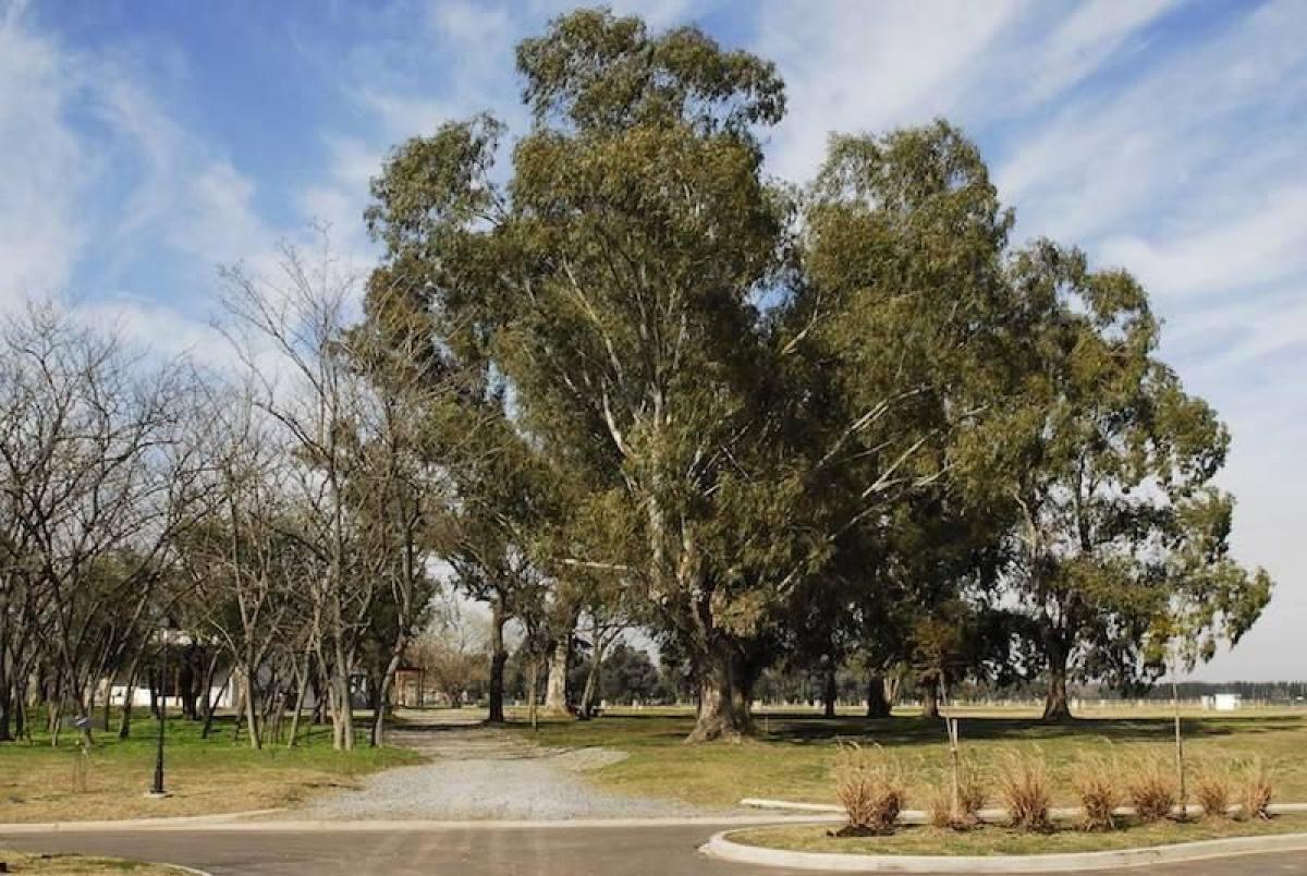  قطعة أرض في Ezeiza, Argentina رقم 33739