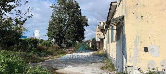 800m² Warehouse in Arzano, Italy No. 173436 6