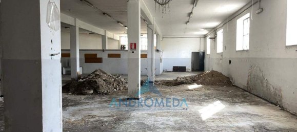 800m² Warehouse in Arzano, Italy No. 173436 11
