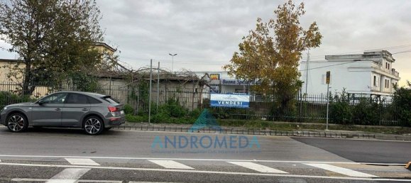 800m² Warehouse in Arzano, Italy No. 173436 8