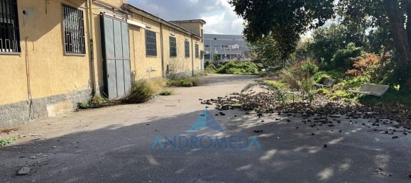 800m² Warehouse in Arzano, Italy No. 173436 5
