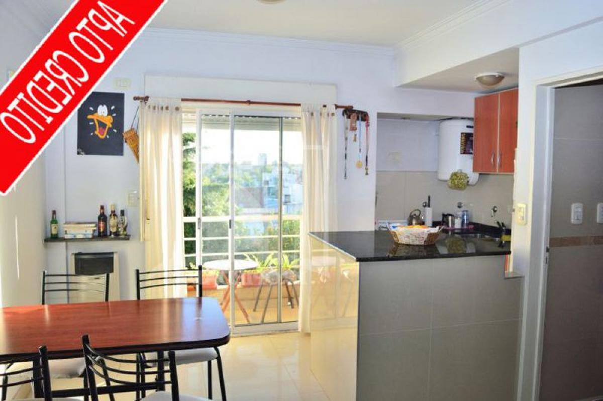 Studio in Tres de Febrero, Argentina No. 21071