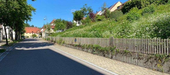 Terrain à Donau-Ries, Germany No. 223687 8