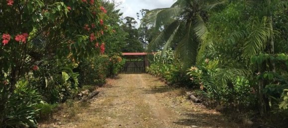  Land in Puerto Viejo, Costa Rica No. 1872 2