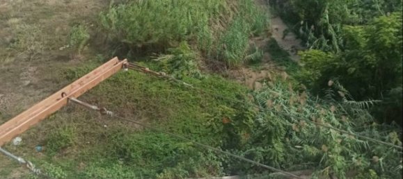 Apartamento de 2 dormitorios en Palermo, Italy No. 255528 14